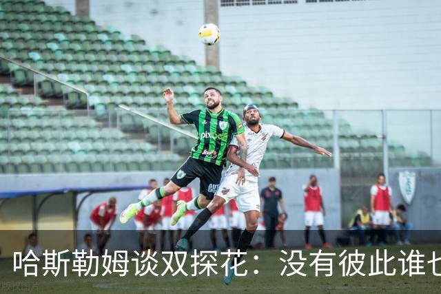 哈斯勒姆谈双探花：没有彼此谁也达不到现在的高度